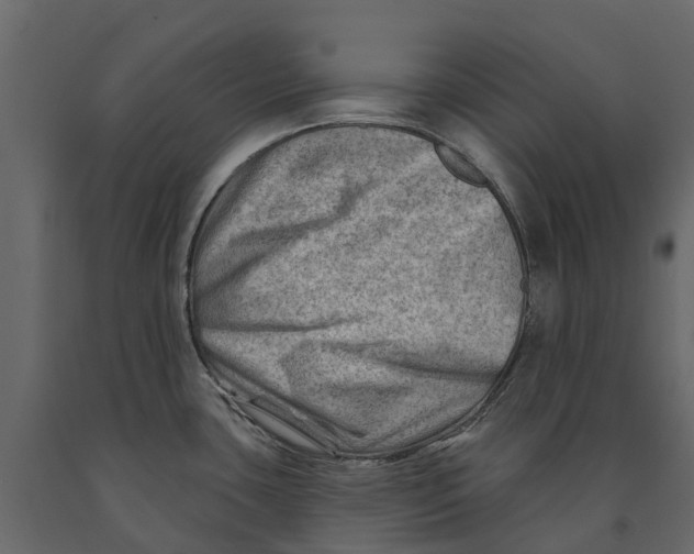 X0000090931435200708271036