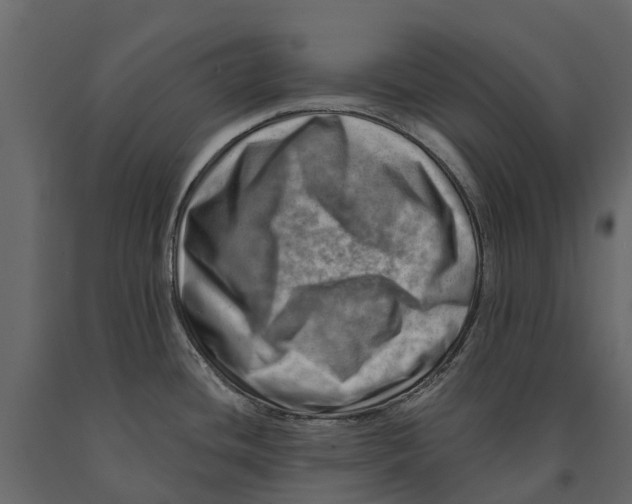 X0000090931436200708271036