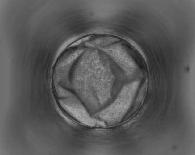 X0000090931437200708271036