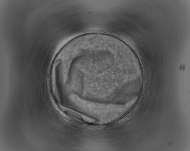 X0000090931440200708271036