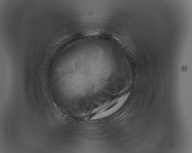 X0000090931441200708271035