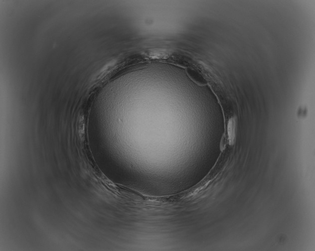 X0000090931443200708271035