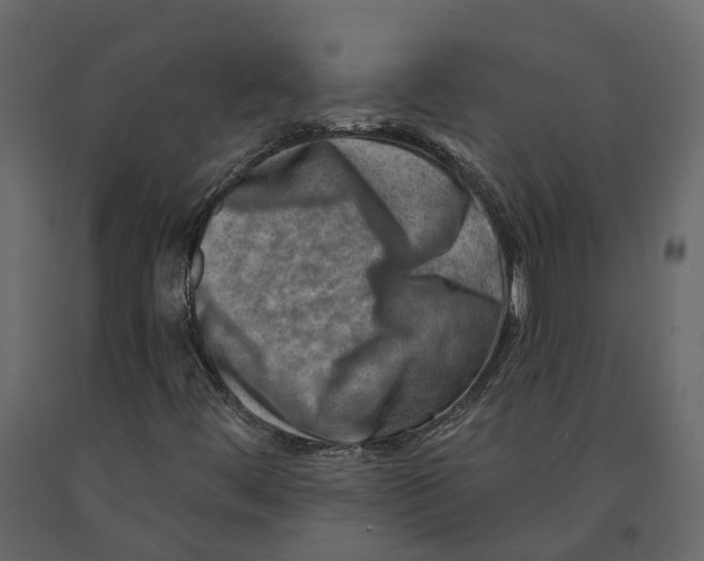 X0000090931444200708271035