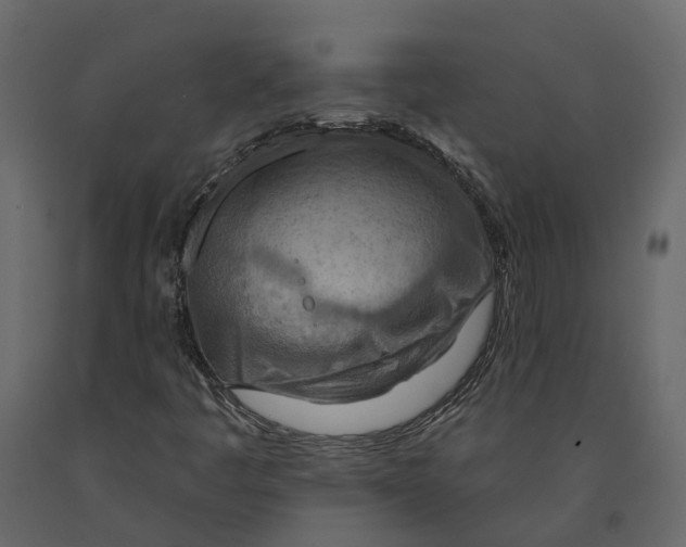 X0000090931445200708271035