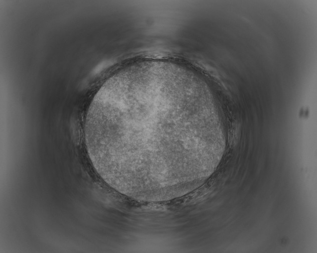 X0000090931446200708271035