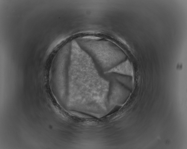 X0000090931448200708271035