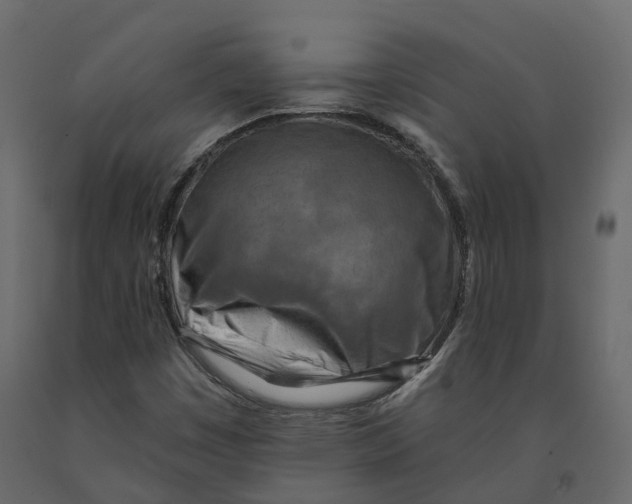 X0000090931449200708271035