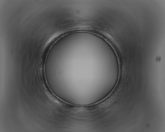 X0000090931450200708271035