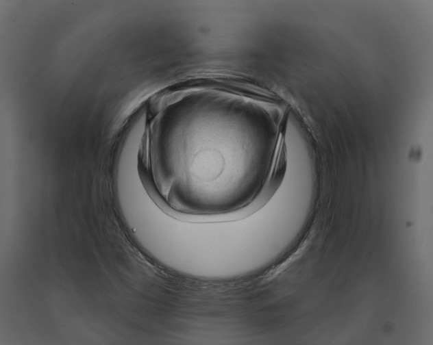 X0000090931453200708271035