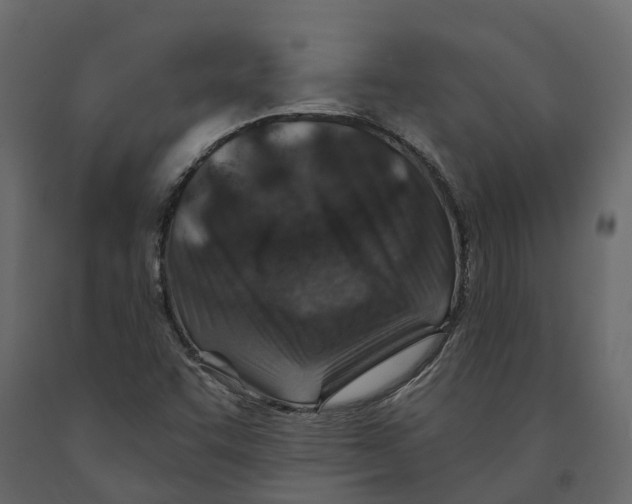 X0000090931455200708271035