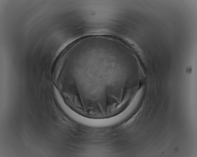 X0000090931457200708271035