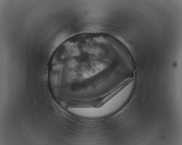 X0000090931459200708271035