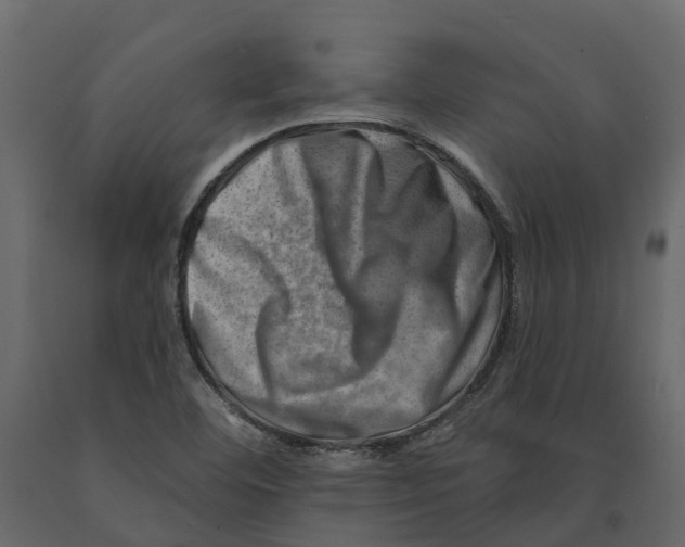 X0000090931460200708271035