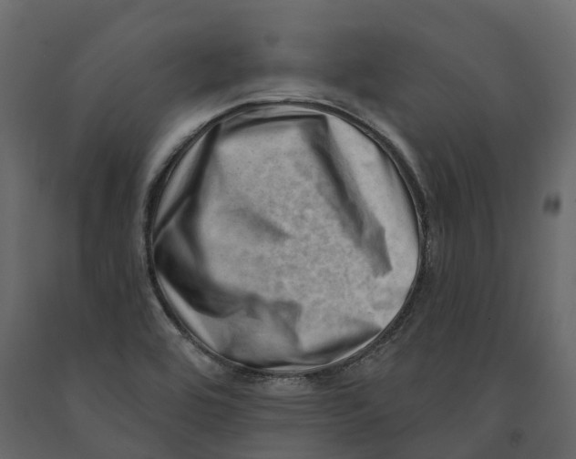 X0000090931464200708271035