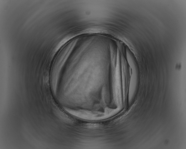 X0000090931465200708271035