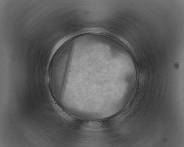 X0000090931466200708271035