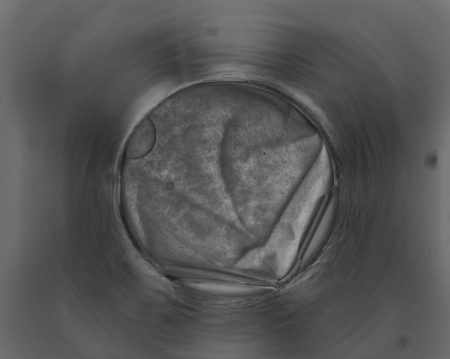 X0000090931467200708271035