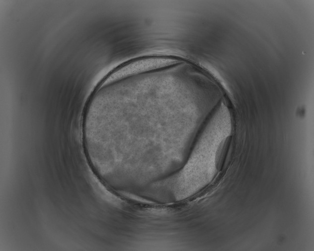 X0000090931468200708271035