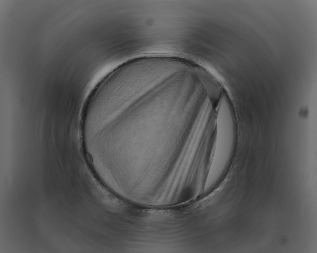 X0000090931469200708271035