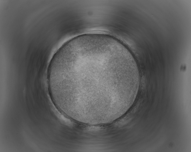 X0000090931470200708271035