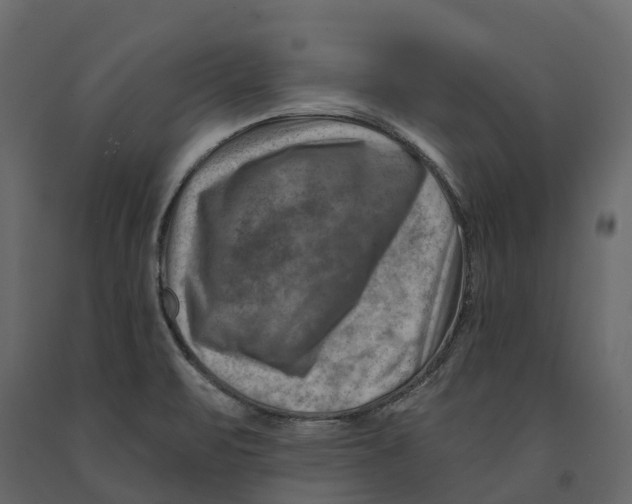 X0000090931471200708271035