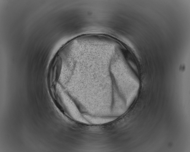 X0000090931472200708271035