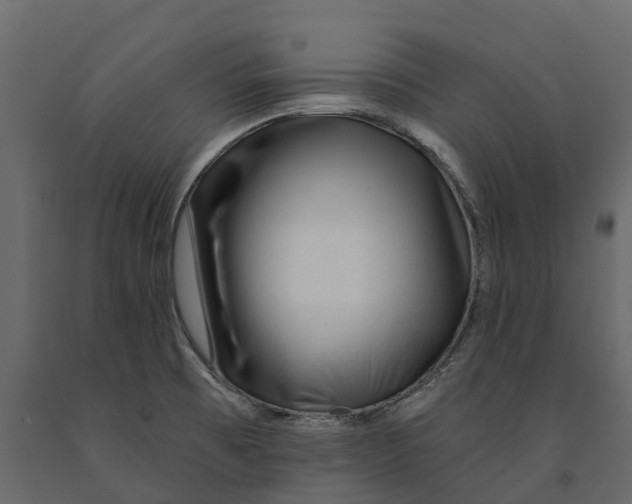 X0000090931473200708271035