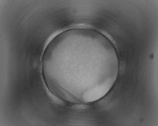 X0000090931474200708271035