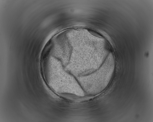 X0000090931475200708271035