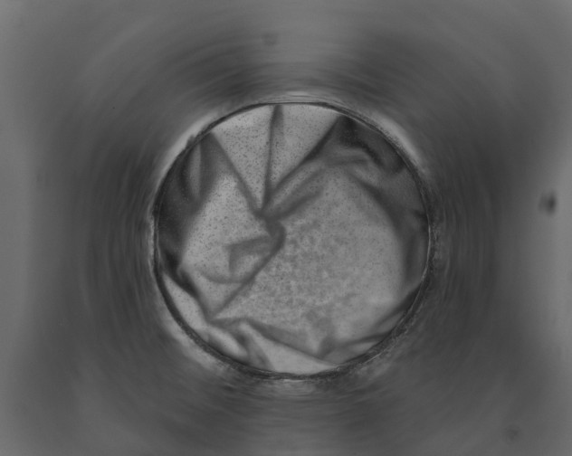 X0000090931476200708271035