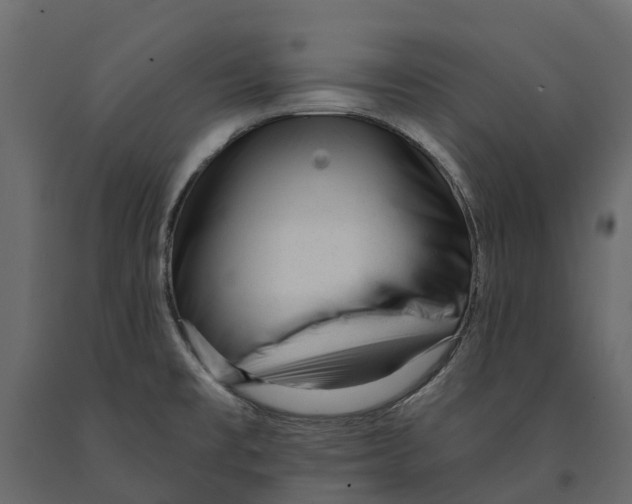 X0000090931477200708271035