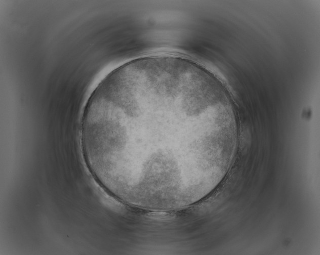 X0000090931478200708271035