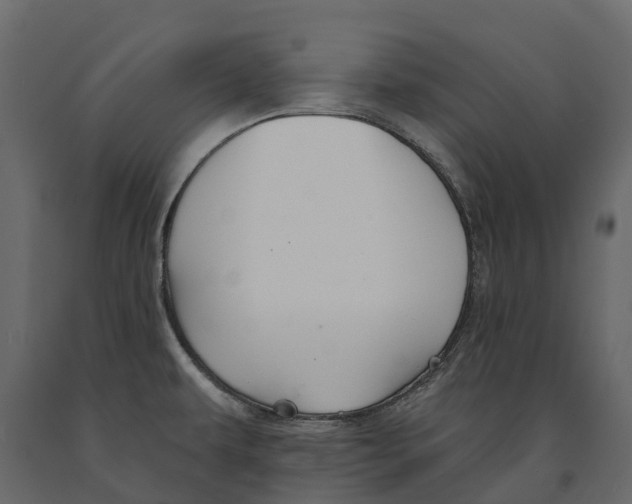 X0000090931479200708271034