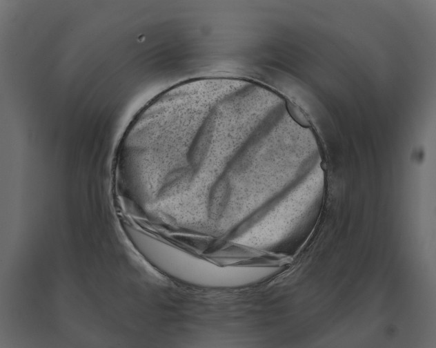 X0000090931480200708271034