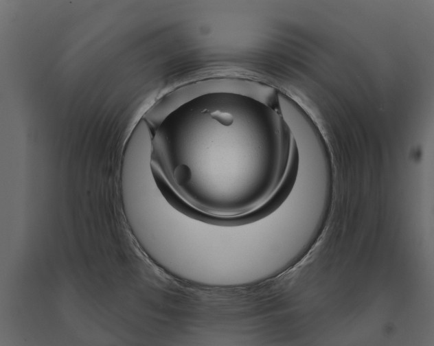 X0000090931481200708271034