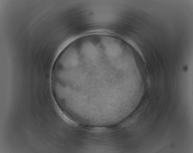 X0000090931482200708271034