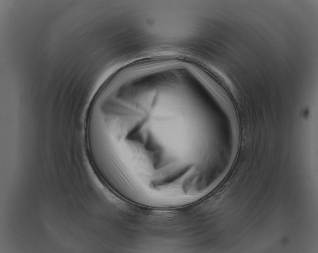 X0000090931483200708271034