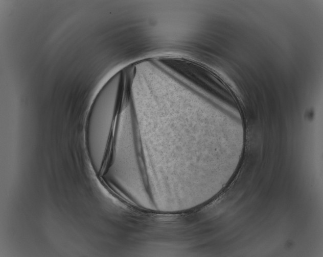 X0000090931484200708271034