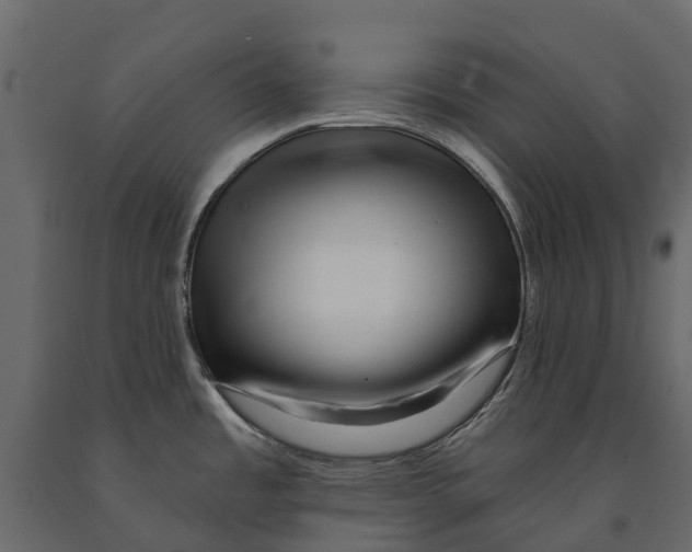 X0000090931485200708271034