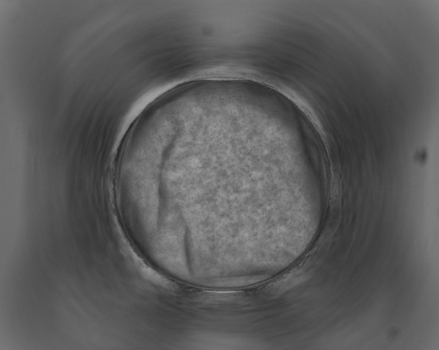 X0000090931486200708271034