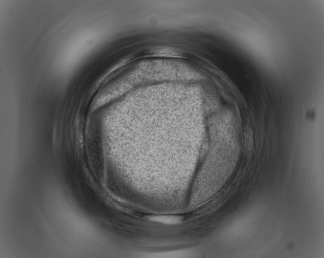 X0000090931487200708271034