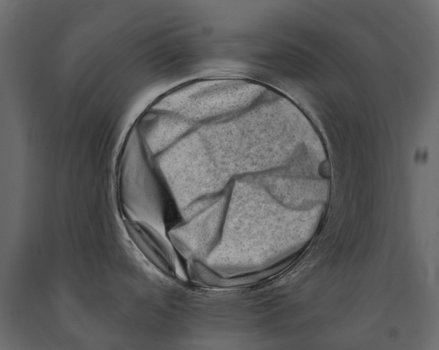 X0000090931488200708271034