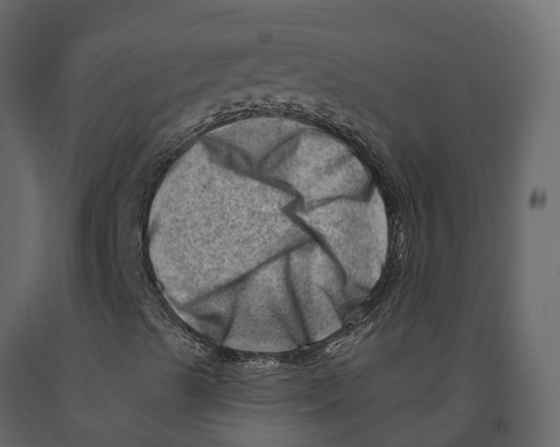 X0000090931489200708271034