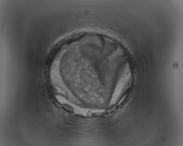 X0000090931494200708271034