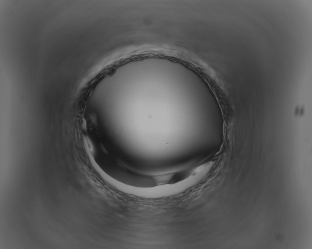 X0000090931496200708271034