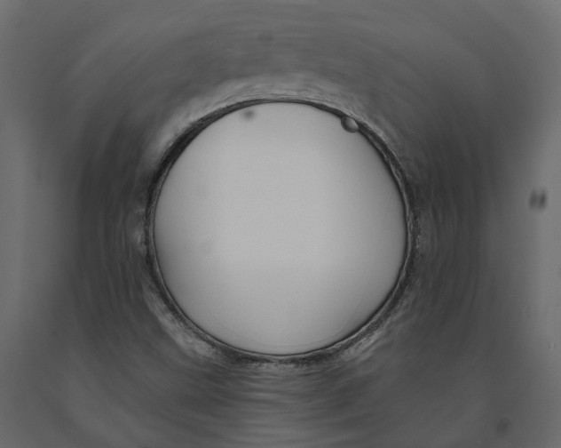 X0000090931499200708271034