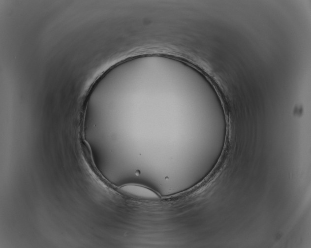 X0000090931500200708271034