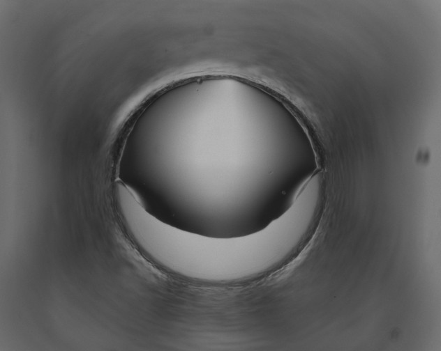 X0000090931502200708271034