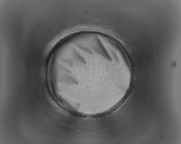 X0000090931503200708271034