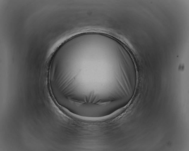 X0000090931504200708271034